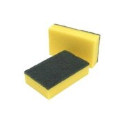 Foam Scourers